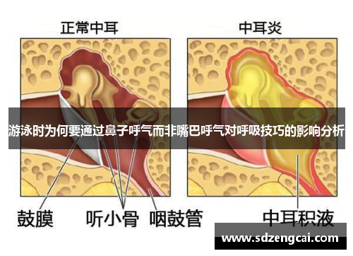 游泳时为何要通过鼻子呼气而非嘴巴呼气对呼吸技巧的影响分析